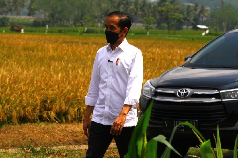 Keberhasilan tanaman padi Varietas IPB 3S mendapat apresiasi Presiden Jokowi